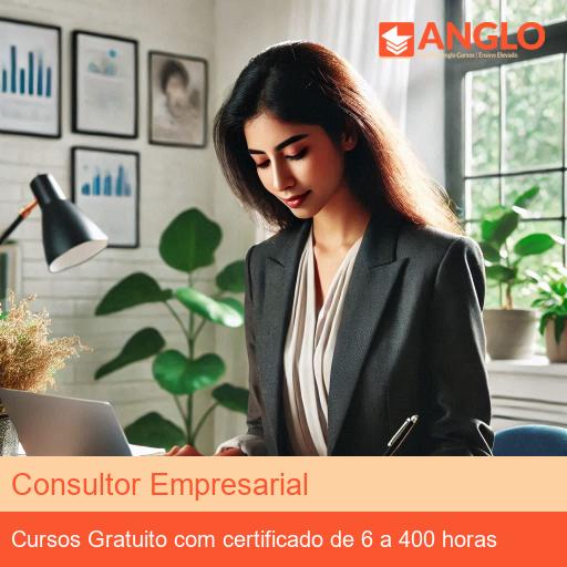 Consultor Empresarial